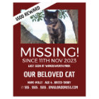 Personalised Photograph, Missing, Lost Pet