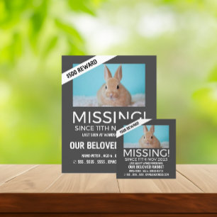 Personalised Photograph, Missing, Lost Pet Flyer