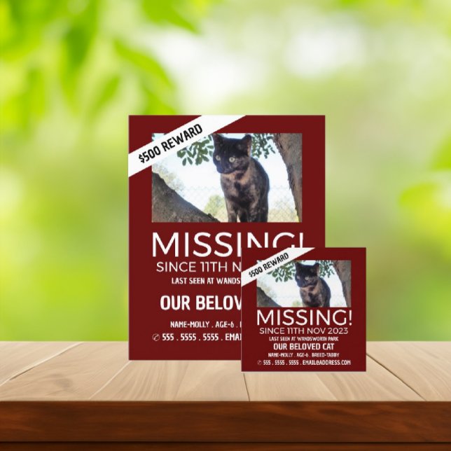 Personalised Photograph, Missing, Lost Pet Flyer (Creator Uploaded)