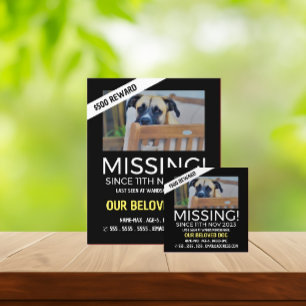 Personalised Photograph, Missing, Lost Pet Flyer