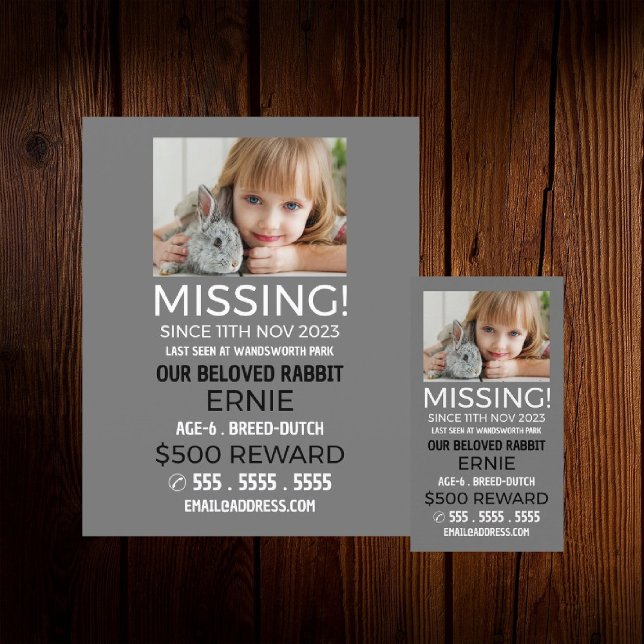 Personalised Photograph, Missing, Lost Pet Flyer (Creator Uploaded)