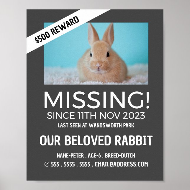 Personalised Photograph, Missing, Lost Pet Poster (Front)