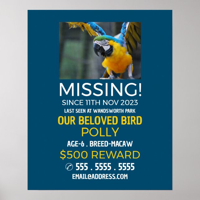 Personalised Photograph, Missing, Lost Pet Poster (Front)