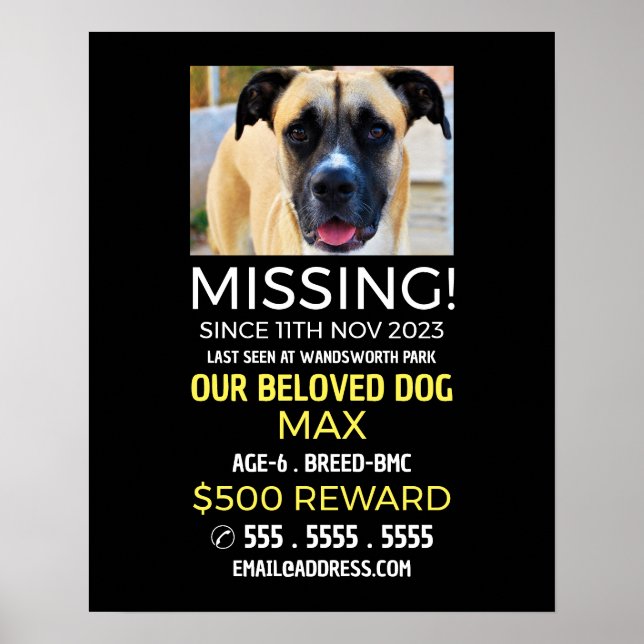 Personalised Photograph, Missing, Lost Pet Poster (Front)