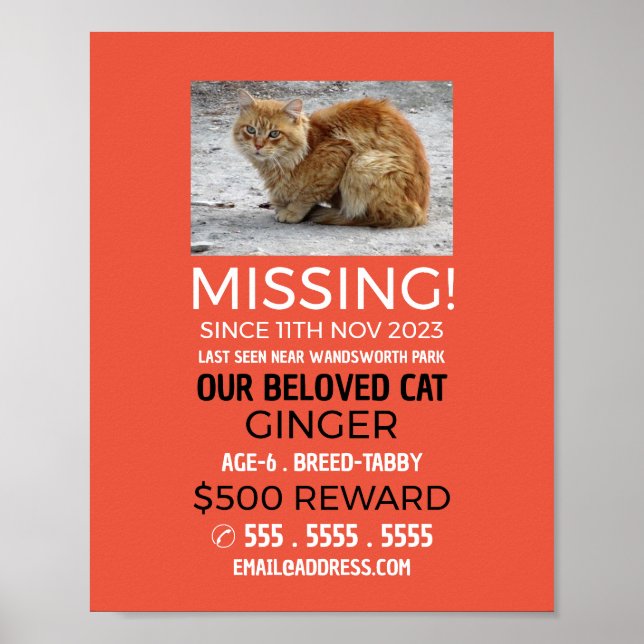 Personalised Photograph, Missing, Lost Pet Poster (Front)