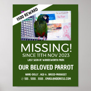 Personalised Photograph, Missing, Lost Pet Poster