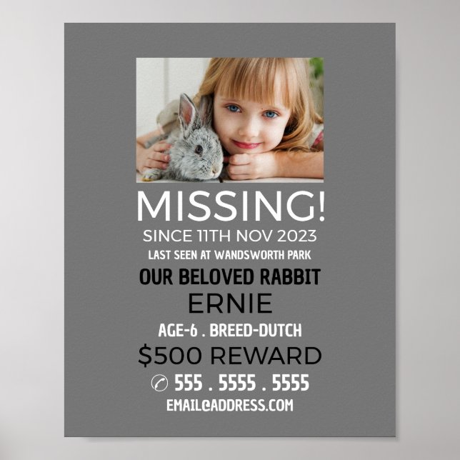 Personalised Photograph, Missing, Lost Pet Poster (Front)