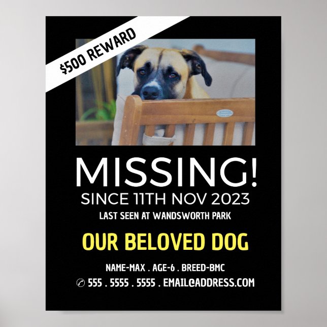 Personalised Photograph, Missing, Lost Pet Poster (Front)