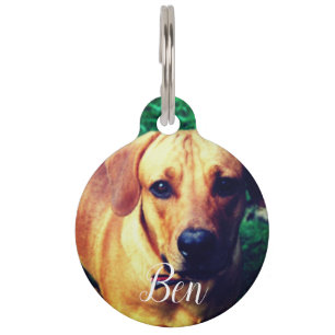 Personalised Picture Custom Photo Dog Tag