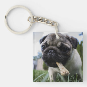 Personalised Pug Dog Photo and Name  Key Ring