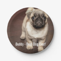 Personalised Pug Dog Photo and Your Pug Dog Name