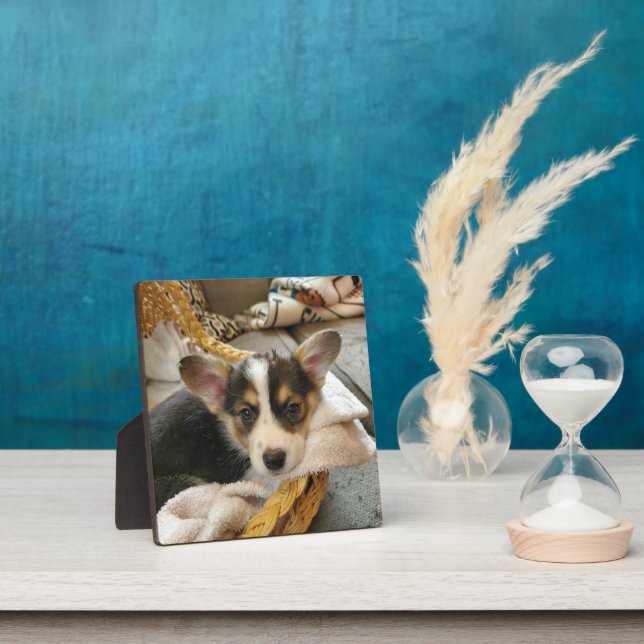 Personalised Puppy Dog Photo Plaque (Insitu)