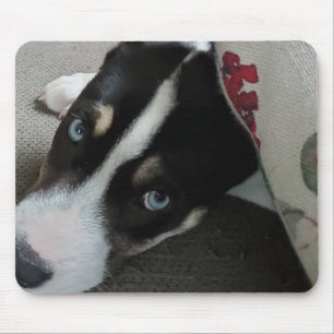 Personalised Puppy Photo Mouse Mat
