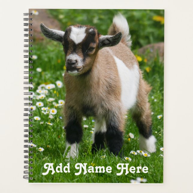 Personalised Pygmy Dwarf Goat Kid Planner (Front)