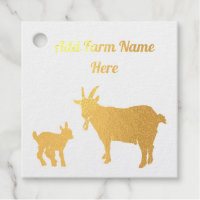 Personalised Pygmy Goat with Kid Farm