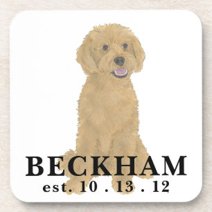 Personalised Red Golden Apricot Doodle Coaster