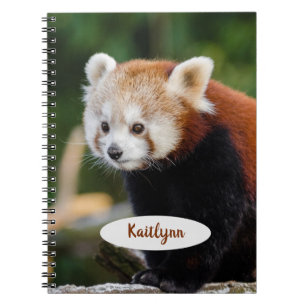 Personalised Red Panda Notebook