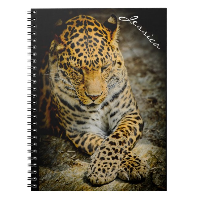 Personalised Resting Leopard Notebook (Front)