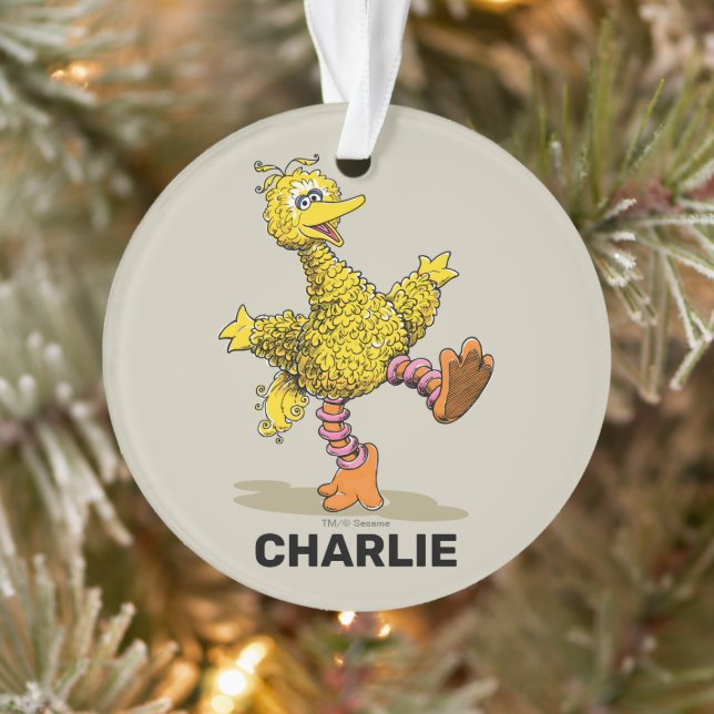 Personalised Retro Art Big Bird Ornament (Tree)