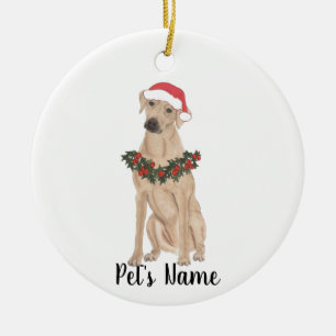 Personalised Rhodesian Ridgeback Ceramic Tree Decoration