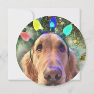 Personalised Round Golden Retriever Christmas Card