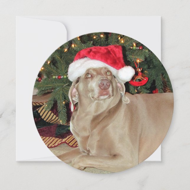 Personalised Round Weimaraner Dog Christmas Holiday Card (Front)