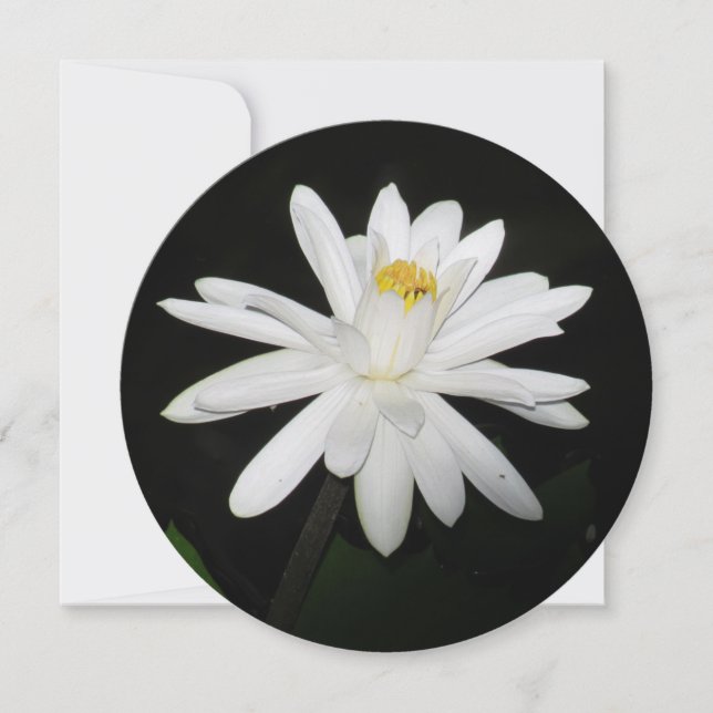 Personalised Round White Water Lily Floral Card (Front)