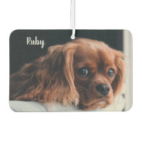 Personalised Ruby Cavalier King Charles Spaniel