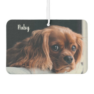 Personalised Ruby Cavalier King Charles Spaniel Car Air Freshener