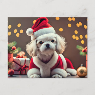 Personalised Santa Maltese Dog Merry Christmas Holiday Postcard