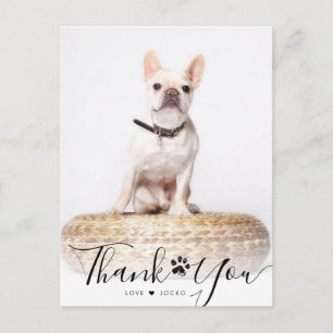 Personalised Script Pet Memorial Photo Thank You  Postcard