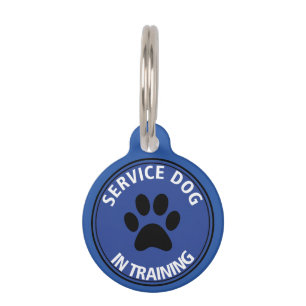 Personalised Service Dog In Training Blue Pet Tag