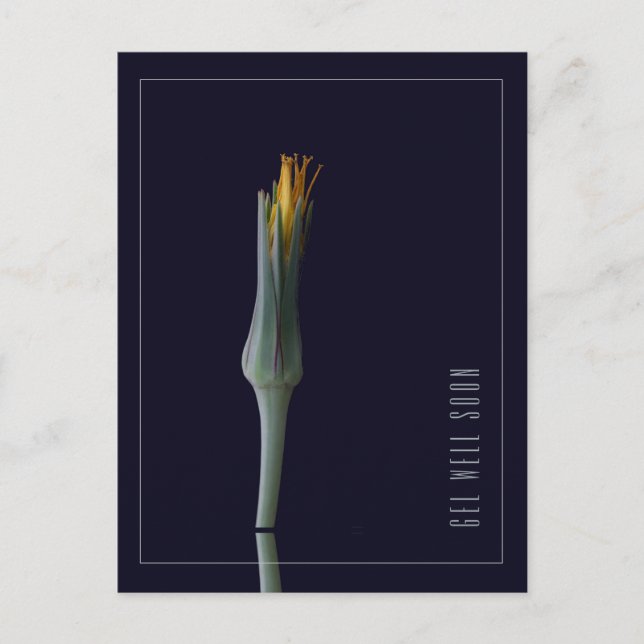 Personalised Simple Elegant Flower Get Well Soon Postcard (Front)