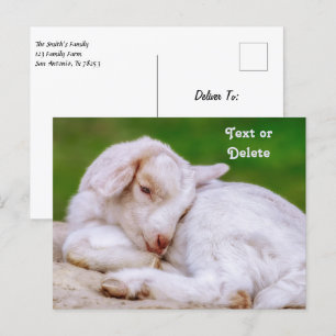 Personalised Sleepy Baby Goat Kid Postcard