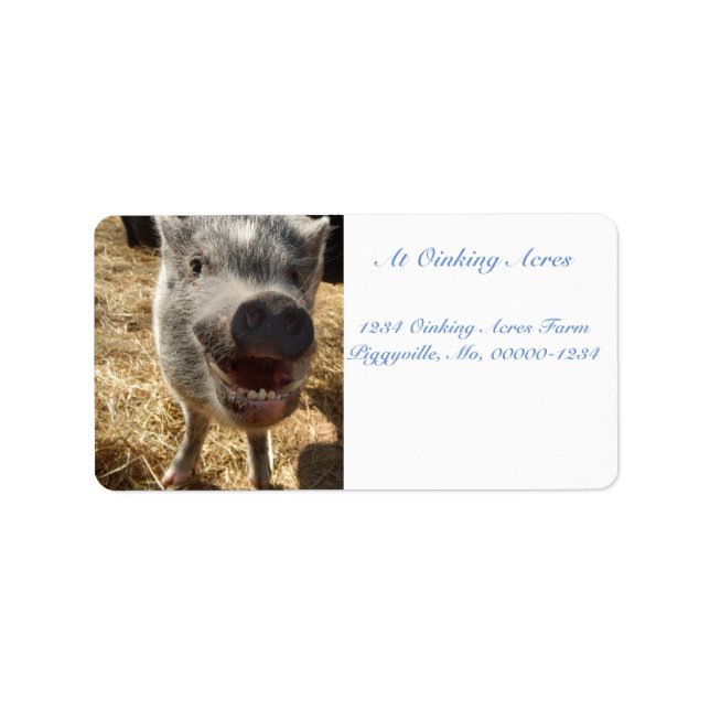 Personalised Smiling Mini Pig Address Labels (Front)