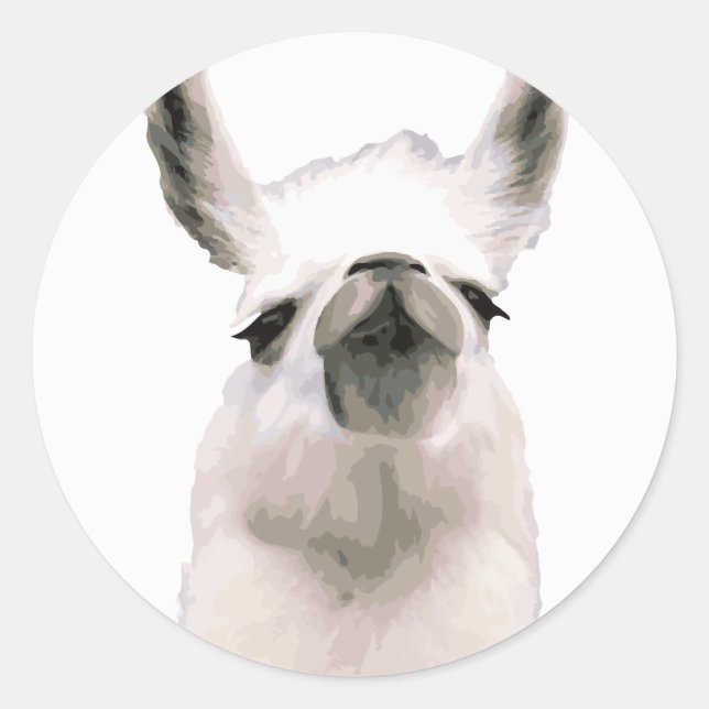 Personalised Snooty Snobby Llama Classic Round Sticker (Front)