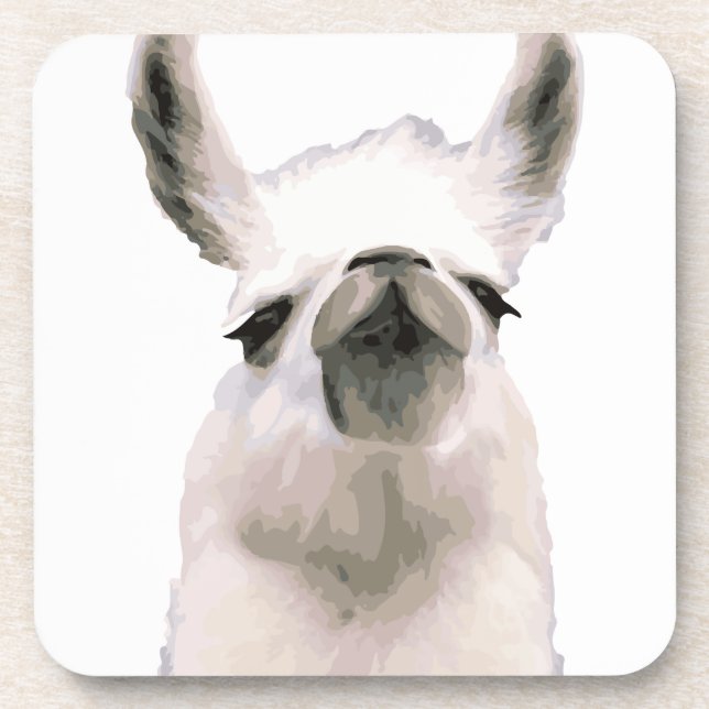 Personalised Snooty Snobby Llama Coaster (Front)