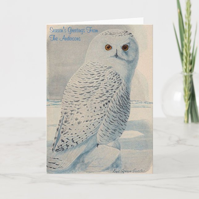 Personalised Snowy Owl Christmas Card (Front)