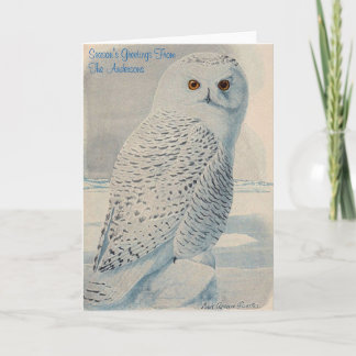 Personalised Snowy Owl Christmas Card