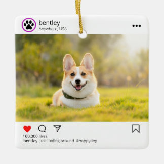 Personalised  social media post ornament