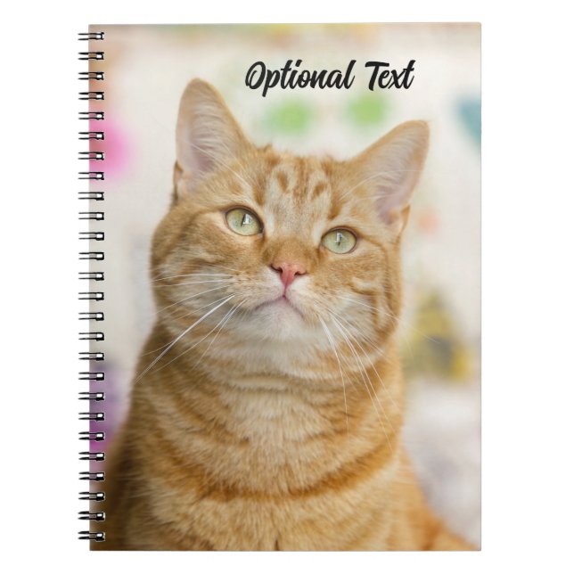 Personalised Sweet Orange Tabby Cat Notebook (Front)