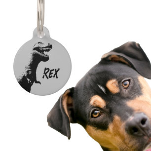 Personalised T-Rex Pet Tag