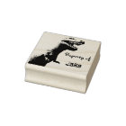 Personalised T-Rex
