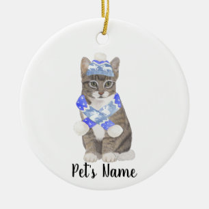 Personalised Tabby Cat (Grey) Blue Ski Hat & Scarf Ceramic Tree Decoration