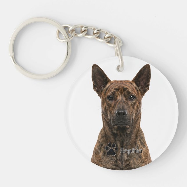 Personalised Thai Ridgeback Brindle Dog Keychains (Front)