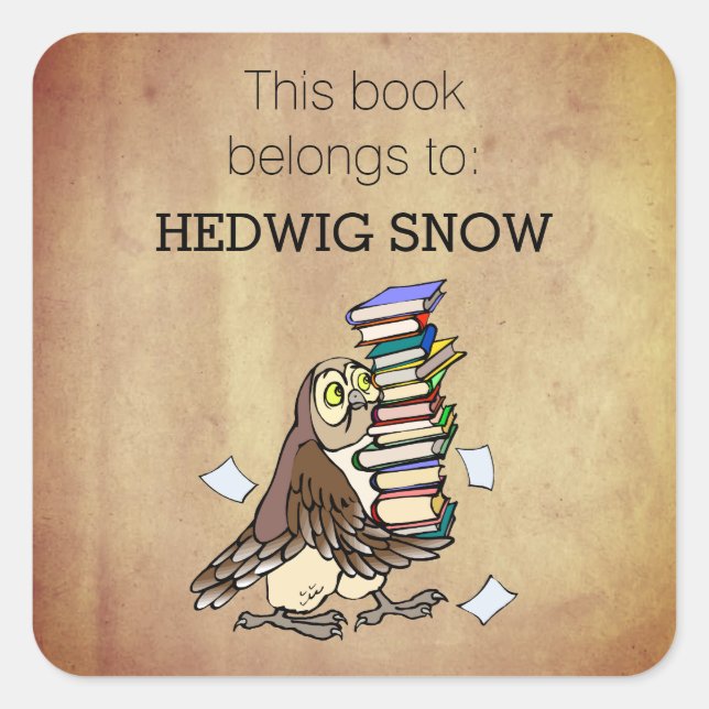 Personalised This Book Belongs to Owl Bookplate Square Sticker (Front)