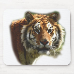 Personalised Tiger Wild Animal Mouse Mat
