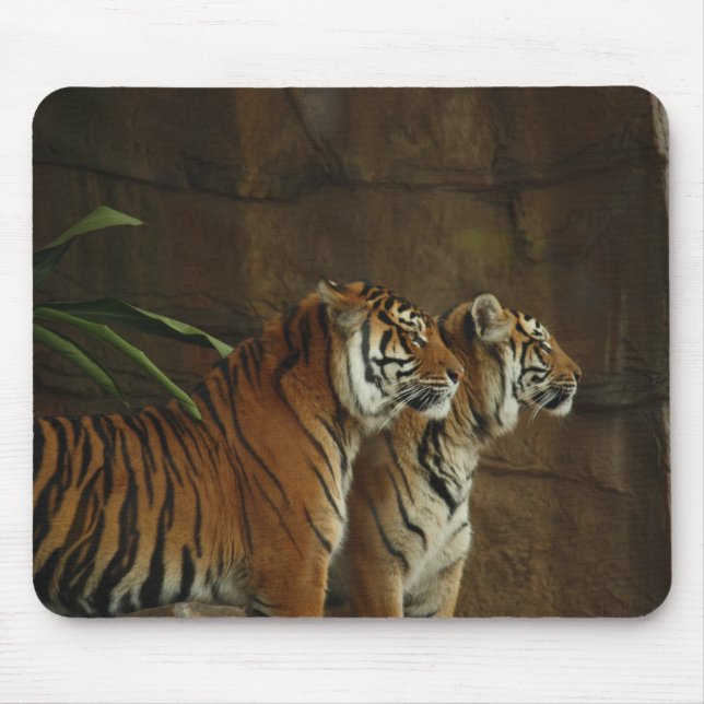 Personalised Tiger Wild Animal Mouse Mat (Front)