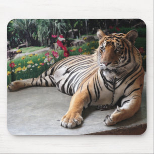 Personalised Tiger Wild Animal Mouse Mat