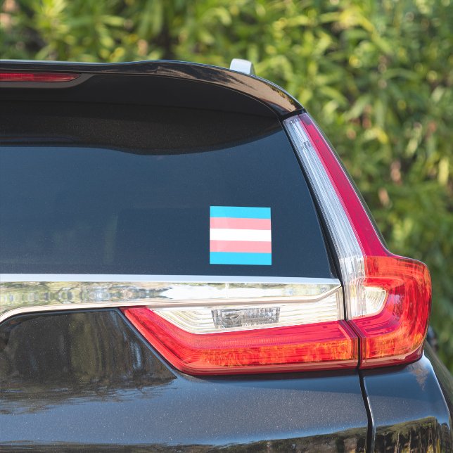 Personalised Transgender Flag (Car Side)